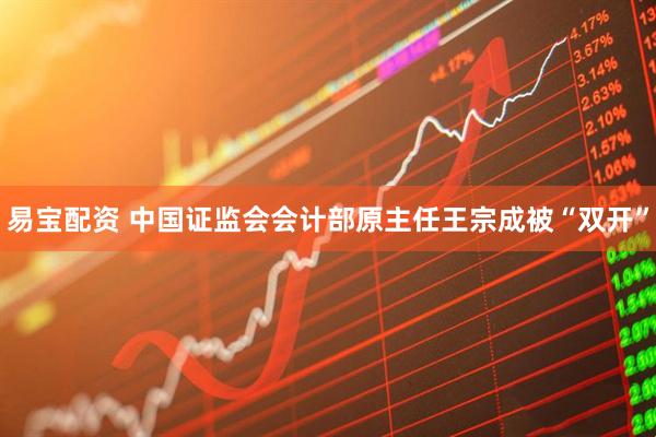 易宝配资 中国证监会会计部原主任王宗成被“双开”