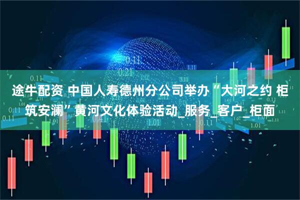 途牛配资 中国人寿德州分公司举办“大河之约 柜筑安澜”黄河文化体验活动_服务_客户_柜面