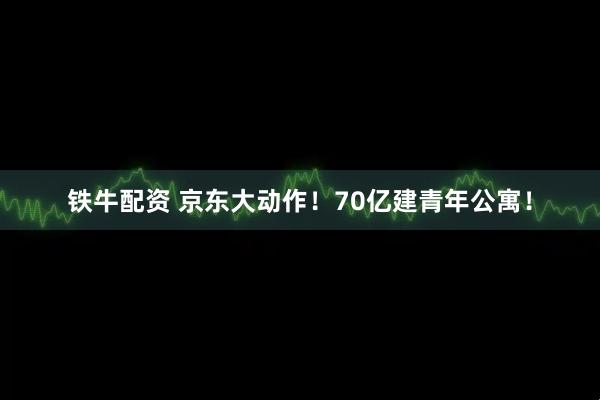 铁牛配资 京东大动作！70亿建青年公寓！