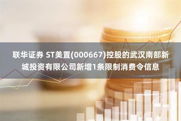 联华证券 ST美置(000667)控股的武汉南部新城投资有限公司新增1条限制消费令信息