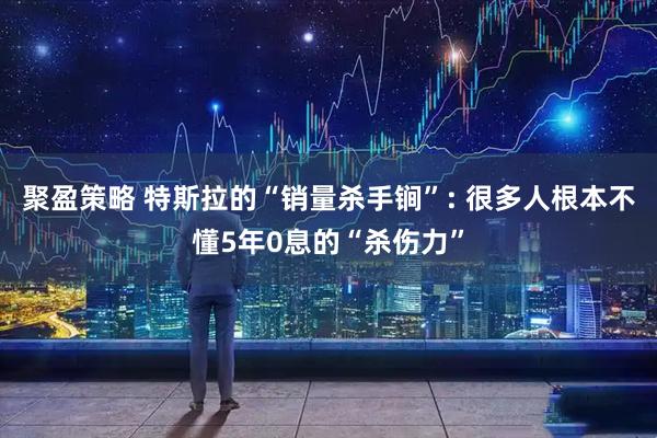 聚盈策略 特斯拉的“销量杀手锏”: 很多人根本不懂5年0息的“杀伤力”