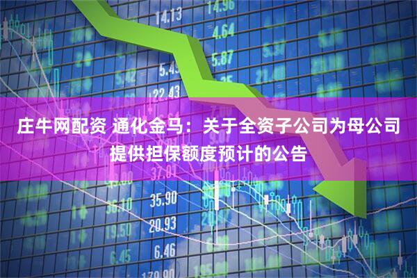 庄牛网配资 通化金马：关于全资子公司为母公司提供担保额度预计的公告
